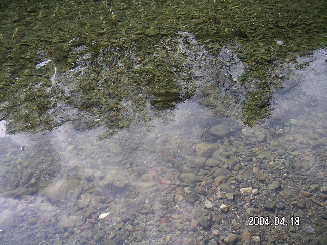 s_PICT0025.jpg